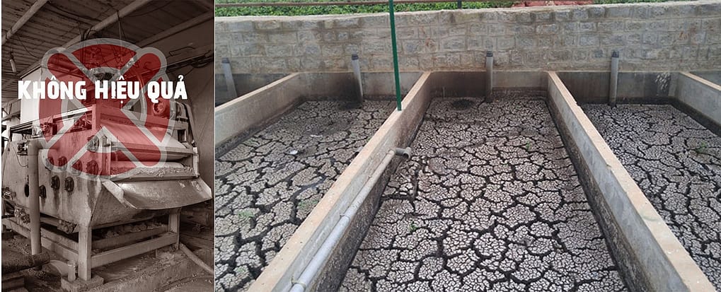 xử lý nước thải thủy sản