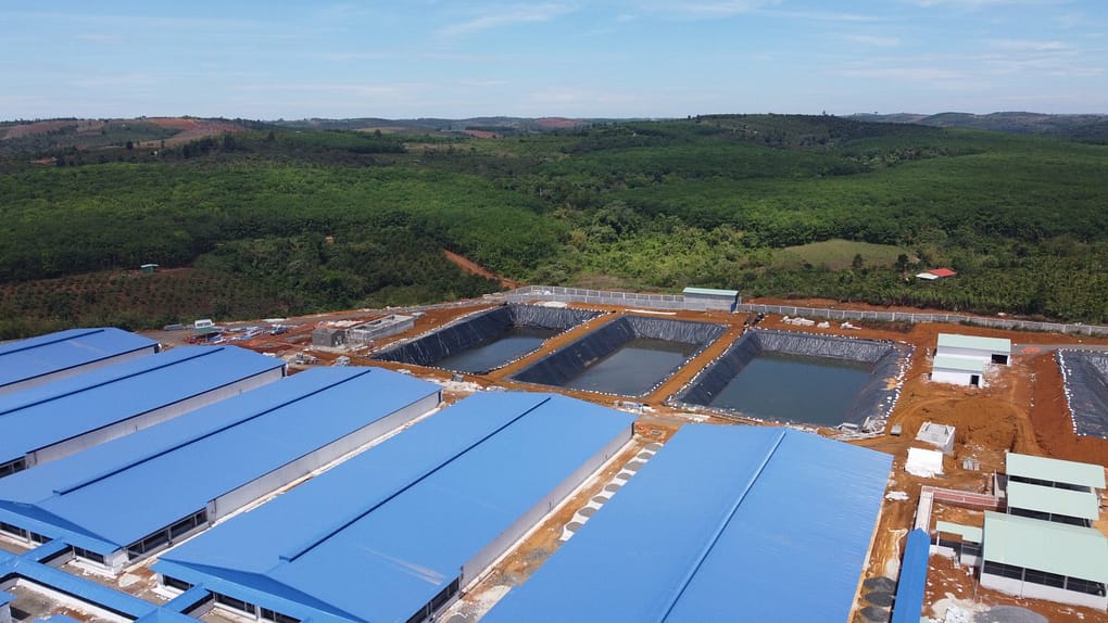 chất thải chăn nuôi