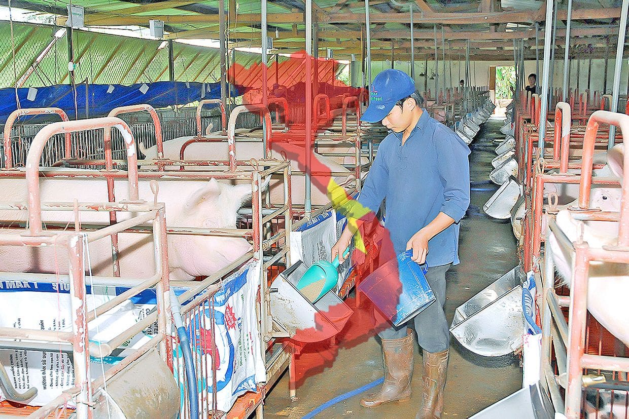 chất thải chăn nuôi