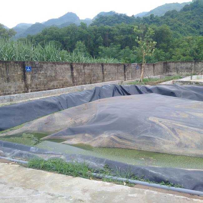 chất thải chăn nuôi