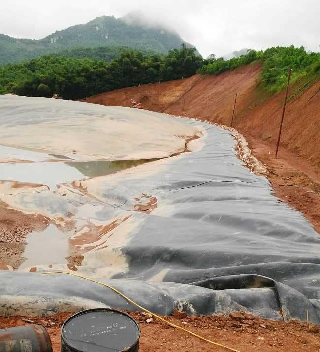chất thải chăn nuôi